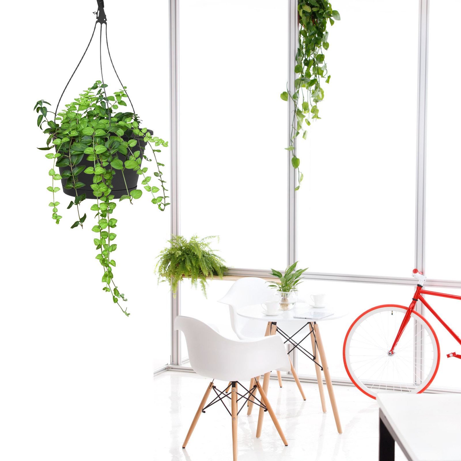 1 pot suspendu pour plante ara - Spider Plant Hanging avis et prix
