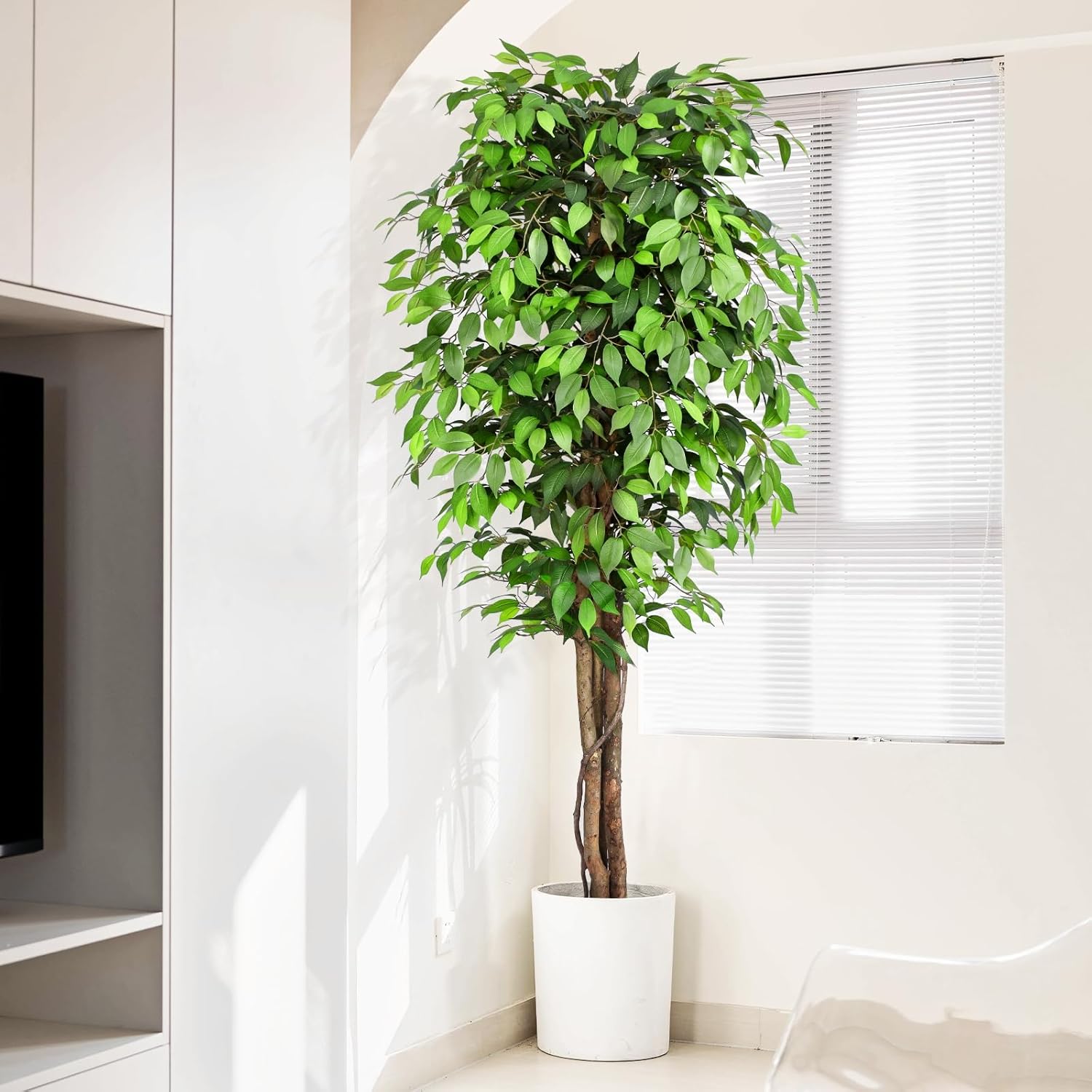 Arbre de ficus artificiel réal - Ficus Lyrata Tree avis et prix