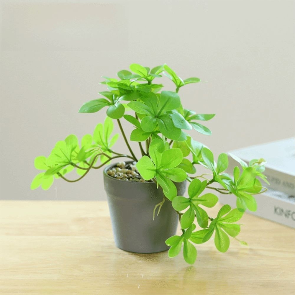 Bonsaï artificiel, plante arti - Spider Plant Hanging avis et prix