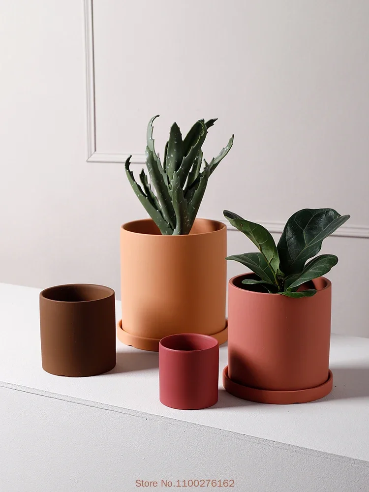 Pot de fleur en céramique de c - Echeveria Succulent avis et prix
